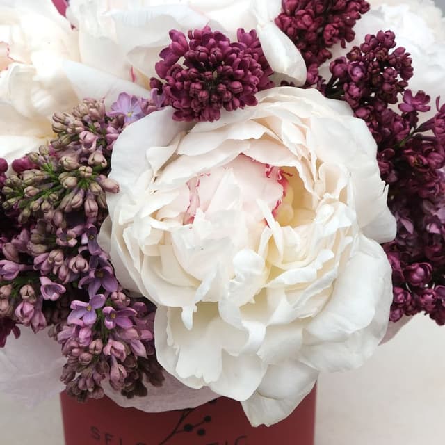 Композиция из Пионов и Сирени в шляпной коробке «Монро» Композиция из Пионов и Сирени в шляпной коробке «Монро»