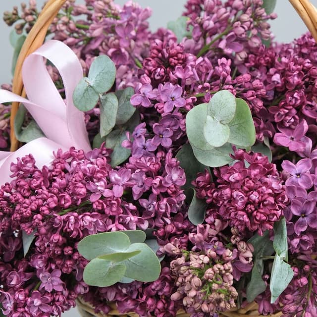 Композиция из Сирени «Корзинка счастья» с эвкалиптом Композиция из Сирени «Корзинка счастья» с эвкалиптом