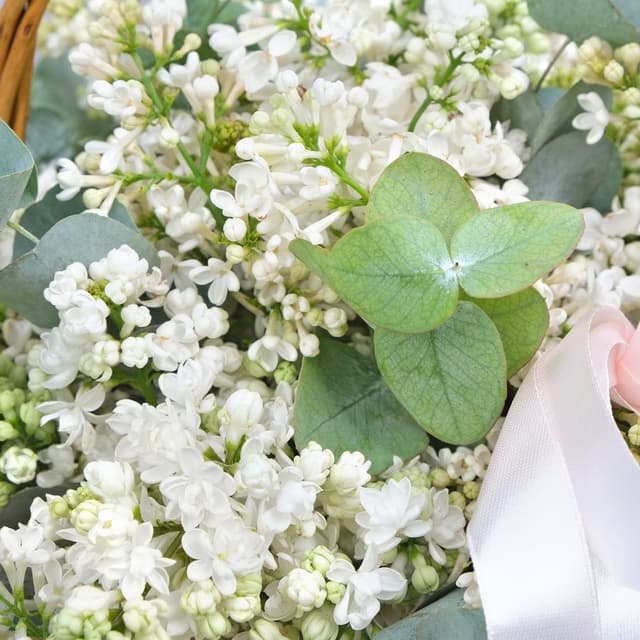 Композиция из Сирени «Корзинка нежности» с эвкалиптом Композиция из Сирени «Корзинка нежности» с эвкалиптом