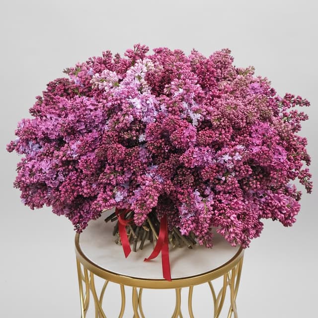 Букет из 101 Сирени «Дерево Любви» Букет из 101 Сирени «Дерево Любви»