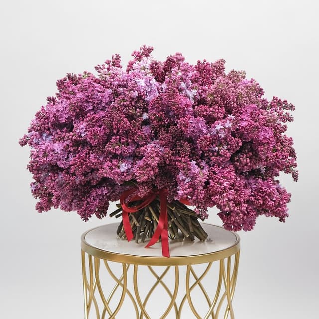 Букет из 101 Сирени «Дерево Любви» Букет из 101 Сирени «Дерево Любви»