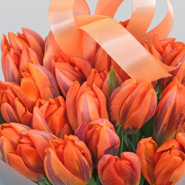Букет из Тюльпанов 25шт «Монако» Букет из Тюльпанов 25шт «Монако»