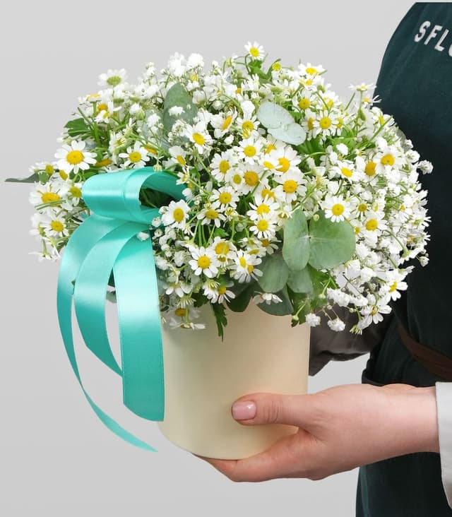 Композиция из Ромашки и Гипсофилы в шляпной коробке «Нежная Любовь» Композиция из Ромашки и Гипсофилы в шляпной коробке «Нежная Любовь»
