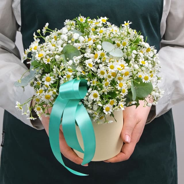 Композиция из Ромашки и Гипсофилы в шляпной коробке «Нежная Любовь» Композиция из Ромашки и Гипсофилы в шляпной коробке «Нежная Любовь»