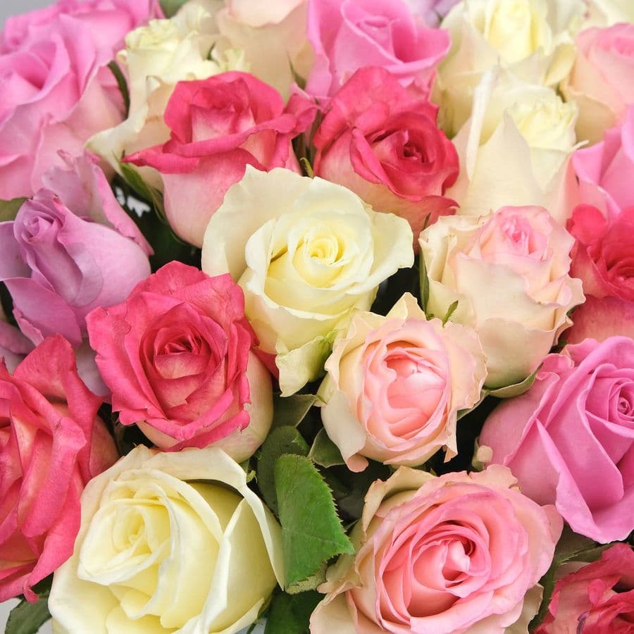 Композиция из кенийских Роз 51 шт в шляпной коробке «Рамона»