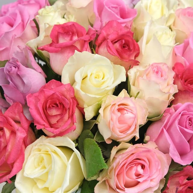 Композиция из кенийских Роз 51 шт в шляпной коробке «Рамона» Композиция из кенийских Роз 51 шт в шляпной коробке «Рамона»