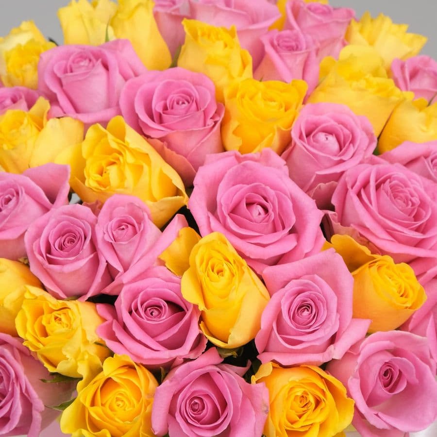 Композиция из кенийских Роз 51 шт в шляпной коробке «Джулия»