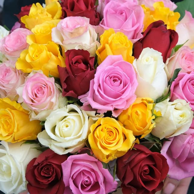 Композиция из кенийских Роз 51 шт в шляпной коробке «Беатриса» Композиция из кенийских Роз 51 шт в шляпной коробке «Беатриса»