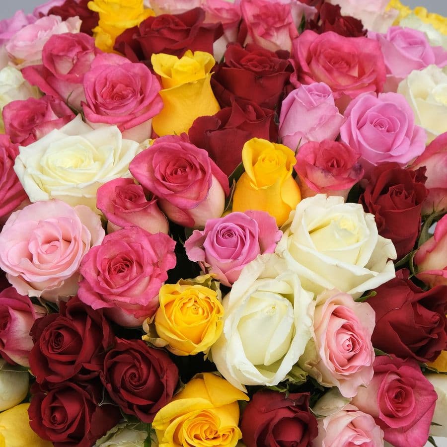 Композиция из кенийских Роз 101 шт в шляпной коробке «Мелисса»