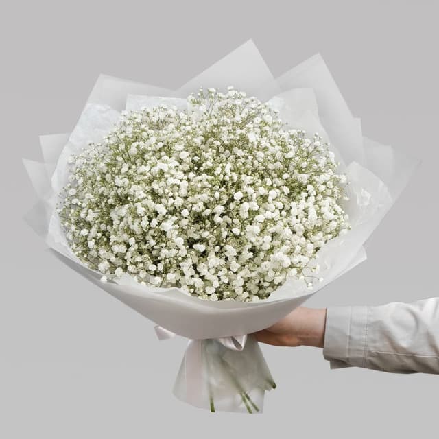 Букет из Гипсофилы 15 шт «Белая Ночь» Букет из Гипсофилы 15 шт «Белая Ночь»