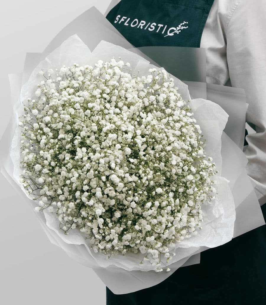 Букет из Гипсофилы 15 шт «Белая Ночь»