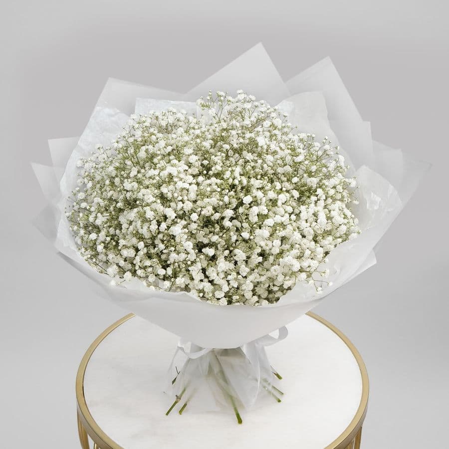 Букет из Гипсофилы 15 шт «Белая Ночь»