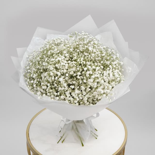 Букет из Гипсофилы 15 шт «Белая Ночь» Букет из Гипсофилы 15 шт «Белая Ночь»