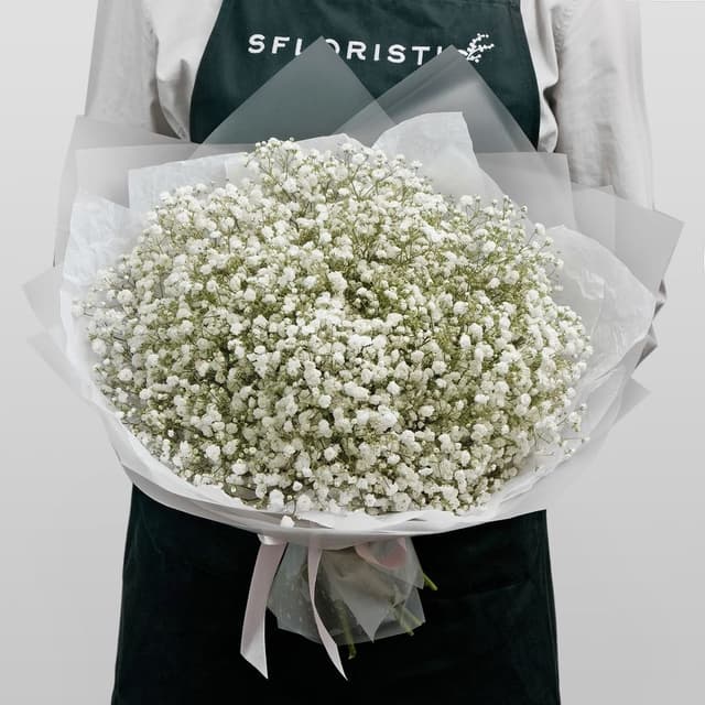 Букет из Гипсофилы 15 шт «Белая Ночь» Букет из Гипсофилы 15 шт «Белая Ночь»