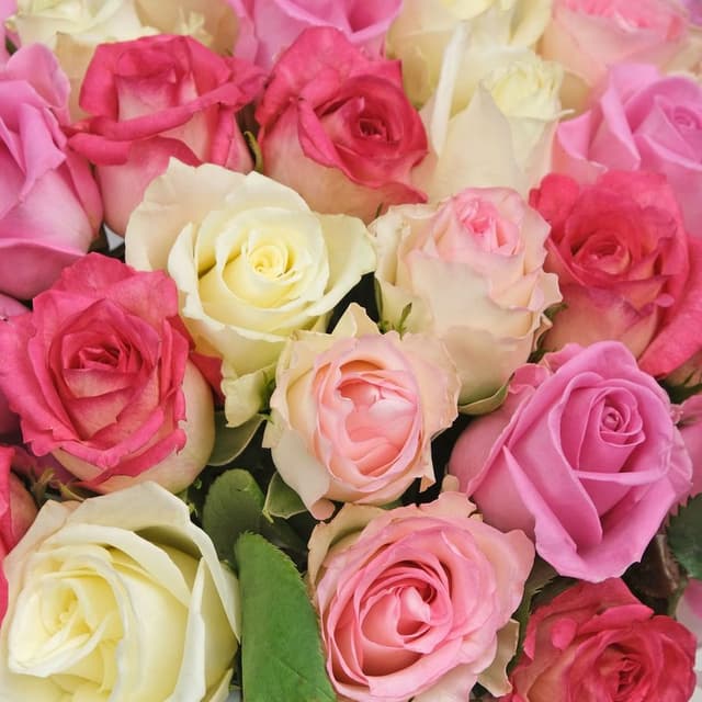 Композиция из кенийских Роз 51 шт в шляпной коробке «Мелодия счастья» Композиция из кенийских Роз 51 шт в шляпной коробке «Мелодия счастья»