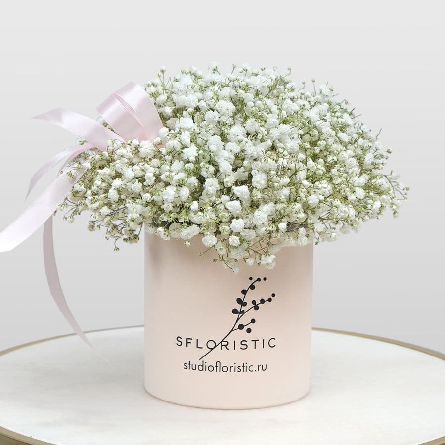 Композиция из Гипсофилы 5 шт «Белинда»