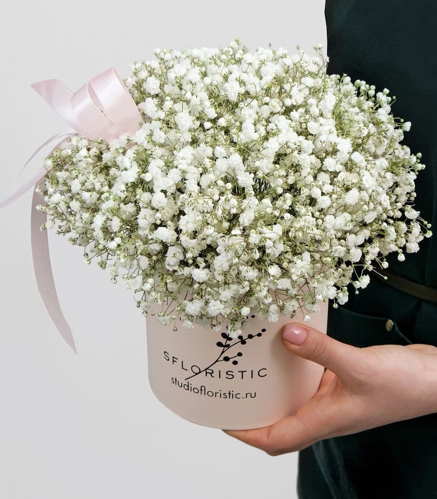 Композиция из Гипсофилы 5 шт «Белинда»