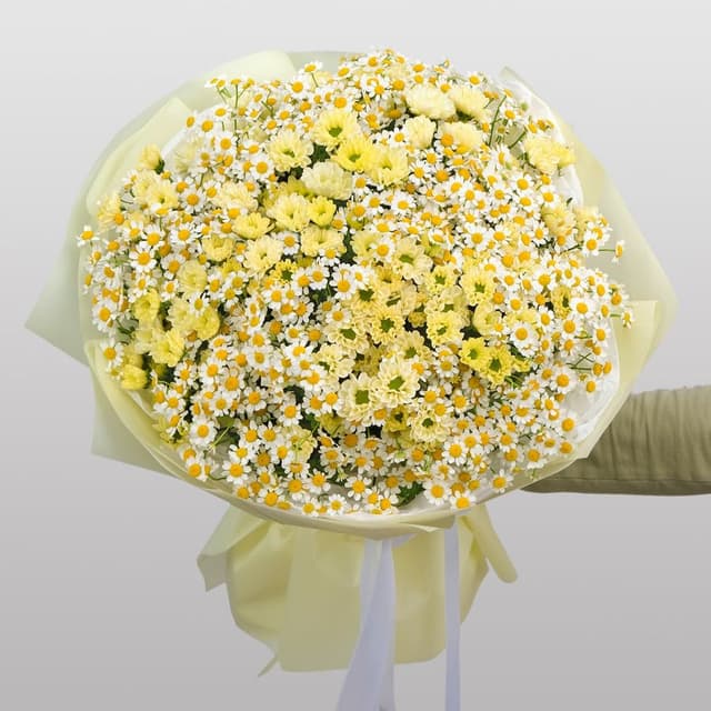 Букет из Матрикарии и Хризантемы «Лучистое солнышко» Букет из Матрикарии и Хризантемы «Лучистое солнышко»