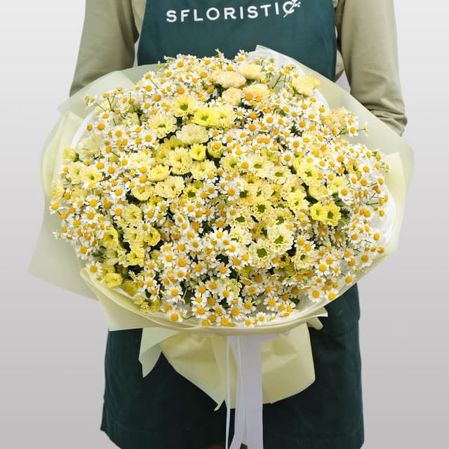 Букет из Матрикарии и Хризантемы «Лучистое солнышко» Букет из Матрикарии и Хризантемы «Лучистое солнышко»