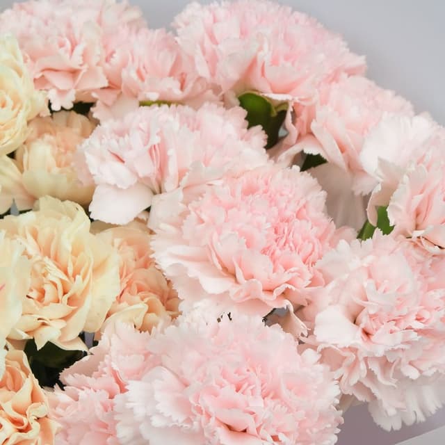 Букет из Гвоздики «Облака Любви» Букет из Гвоздики «Облака Любви»