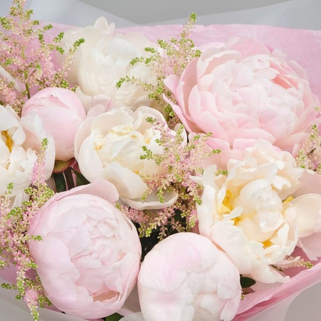 Букет из Пионов и Астильбы «Розовое Облачко» Букет из Пионов и Астильбы «Розовое Облачко»