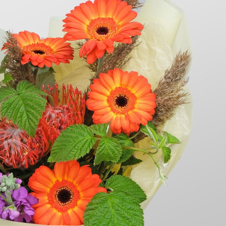 Букет из Гвоздики, Маттиолы и Гермини «Солнечный Презент»