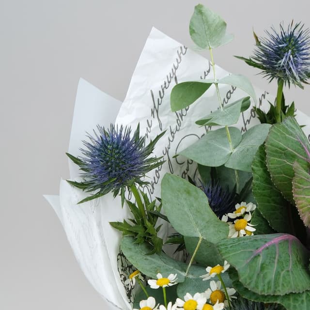 Букет из Эрингиума, Ромашки и Хризантемы «Любимая Колючка» Букет из Эрингиума, Ромашки и Хризантемы «Любимая Колючка»