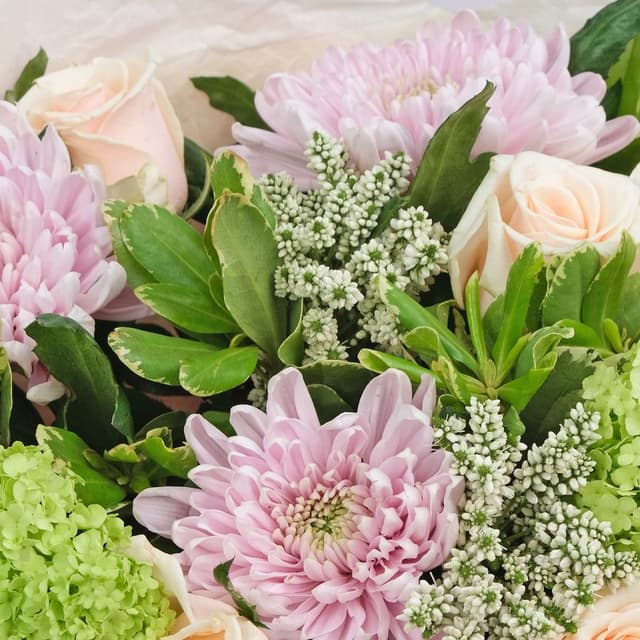 Букет из Роз, Хризантемы и Маттиолы «Сладкая Любовь» Букет из Роз, Хризантемы и Маттиолы «Сладкая Любовь»