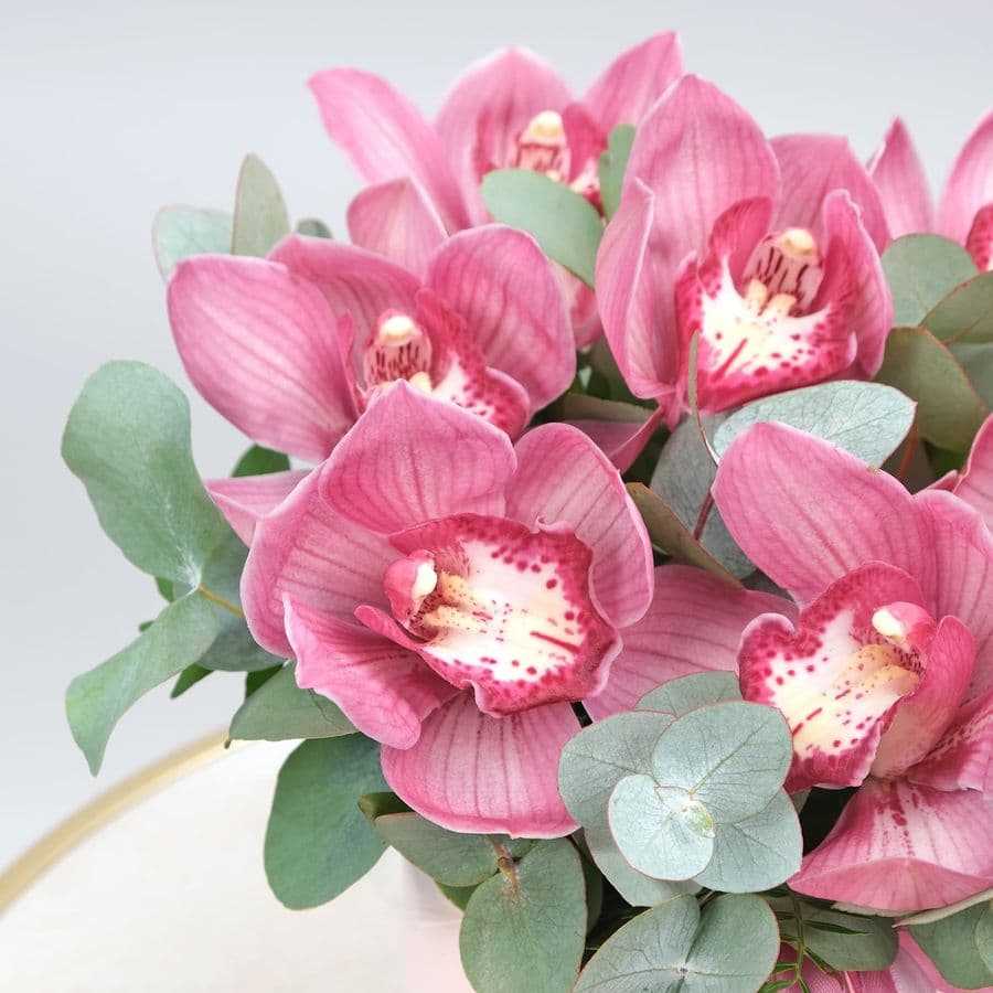 Композиция Розовых Орхидей в шляпной коробке «Дюймовочка»