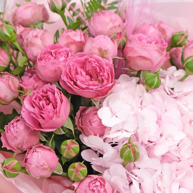 Букет из Гортензий и Розы Мисти Баблс «Коко Шанель» Букет из Гортензий и Розы Мисти Баблс «Коко Шанель»