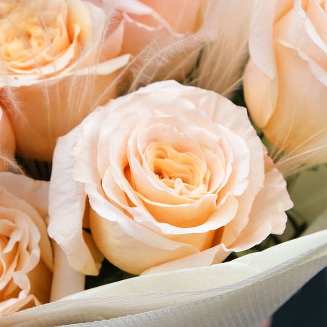 Букет Роз Шиммер «Кремовая радость» Букет Роз Шиммер «Кремовая радость»