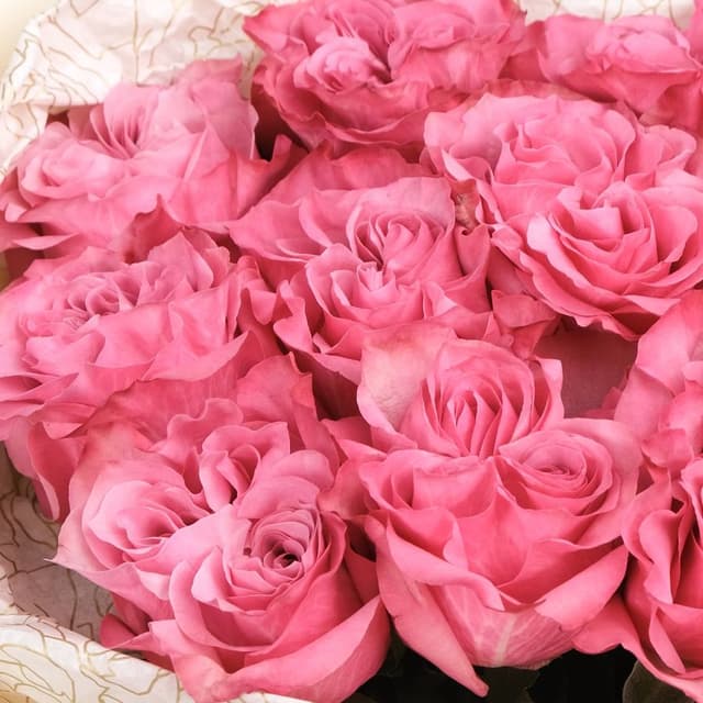 Букет из розовых Роз «Мулен Руж» Букет из розовых Роз «Мулен Руж»