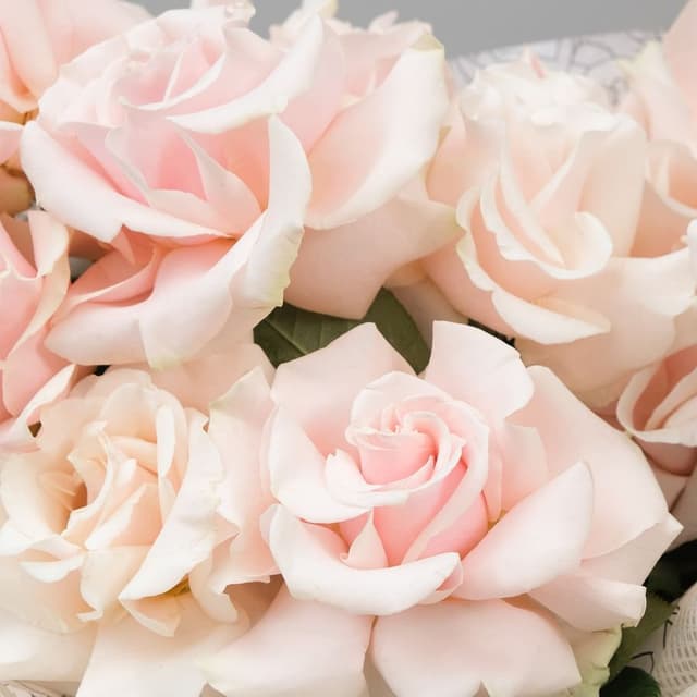 Букет розовых Роз «Милая кудряшка» Букет розовых Роз «Милая кудряшка»