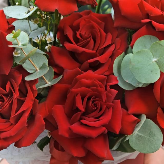 Композиция из красных Роз «Дерево счастья» с эвкалиптом Композиция из красных Роз «Дерево счастья» с эвкалиптом