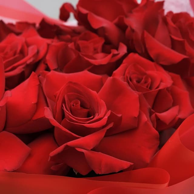 Букет красных Роз «Сириус» Букет красных Роз «Сириус»