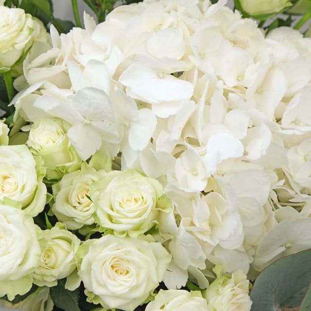 Букет из Гортензии и Кустовых Роз «Чудесной» с эвкалиптом Букет из Гортензии и Кустовых Роз «Чудесной» с эвкалиптом