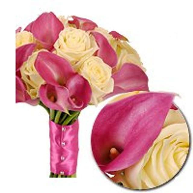 Букет из Роз и розовых Калл «Клубника со сливками» Букет из Роз и розовых Калл «Клубника со сливками»