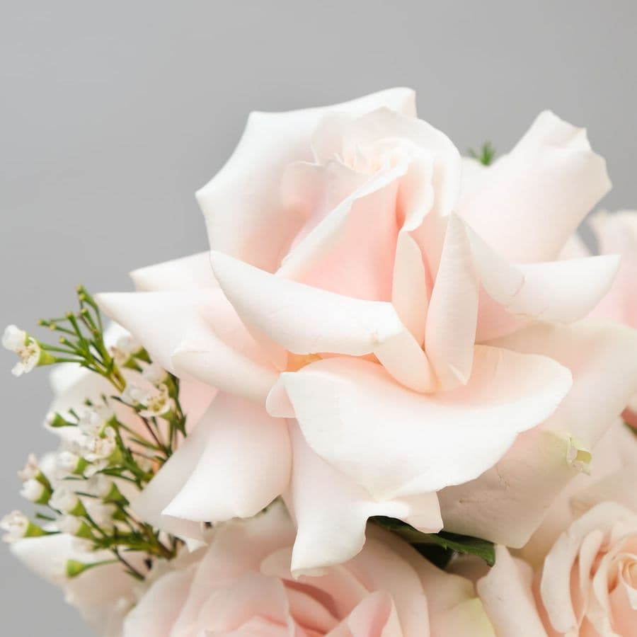 Композиция из Роз «Медовая красота»