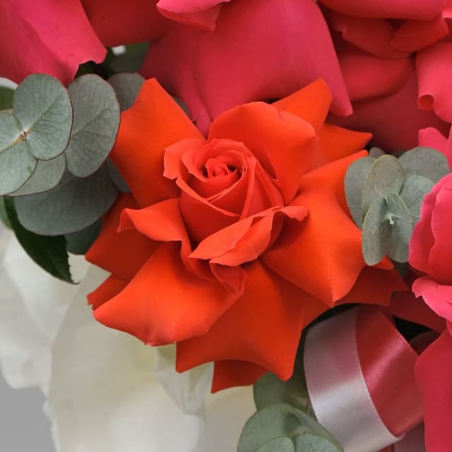 Композиция Роз «Амбассадор» Композиция Роз «Амбассадор»