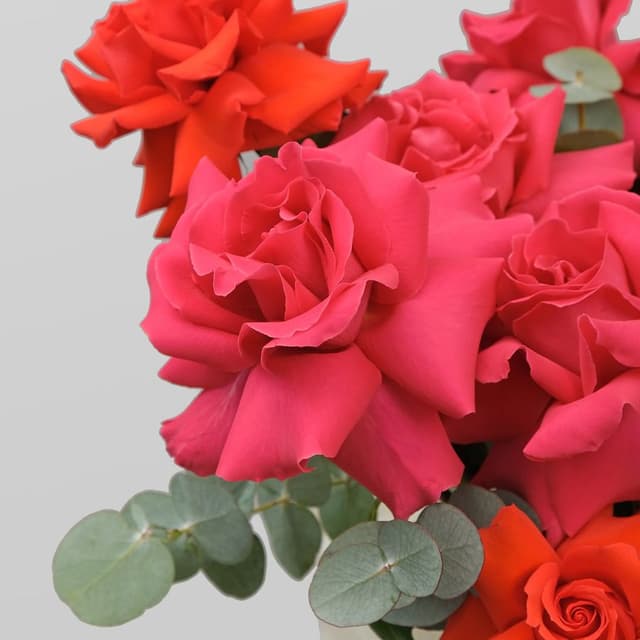 Композиция Роз «Амбассадор» Композиция Роз «Амбассадор»