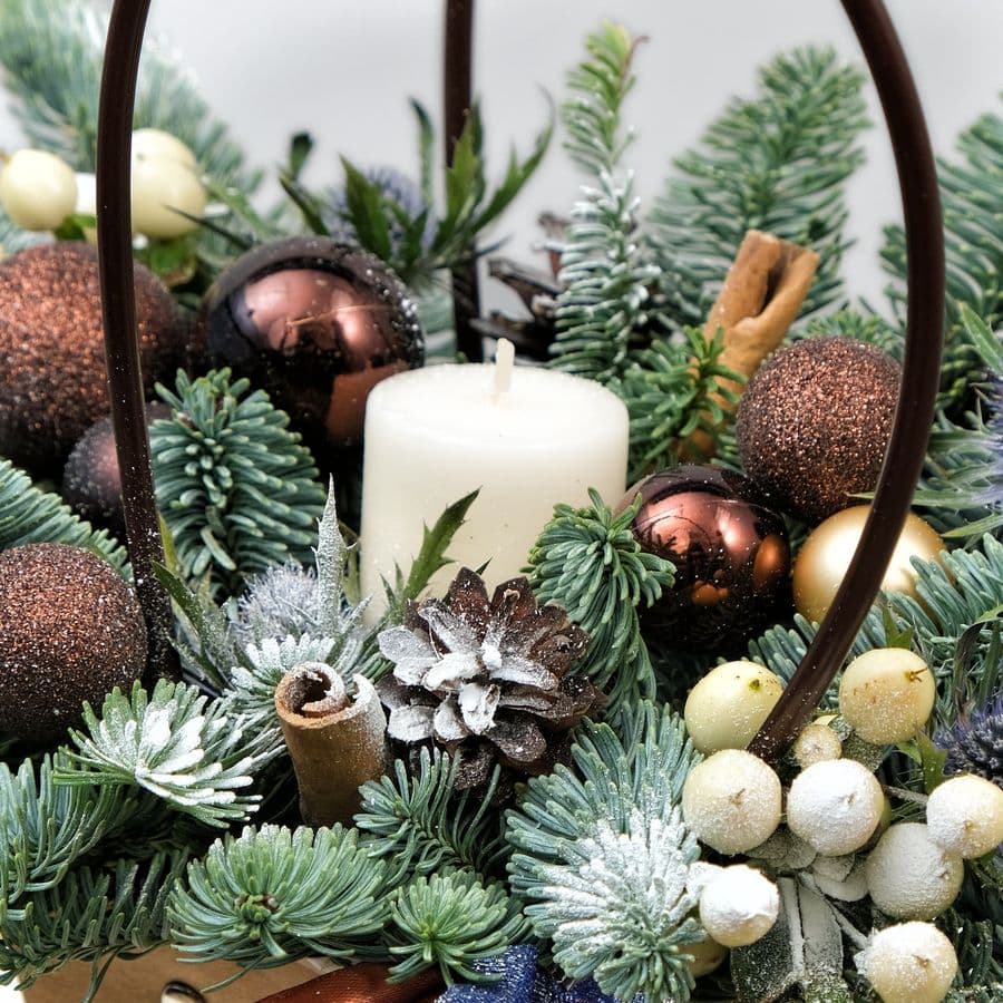 Композиция из Нобилиса, Гиперикума и Эрингиума «Зимний уют»