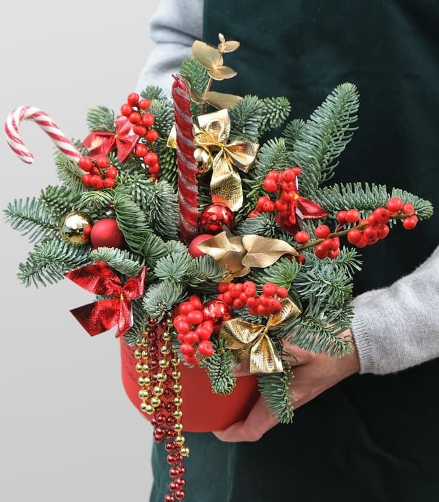 Композиция из Нобилиса, Илекса «Красная Зимушка» Композиция из Нобилиса, Илекса «Красная Зимушка»