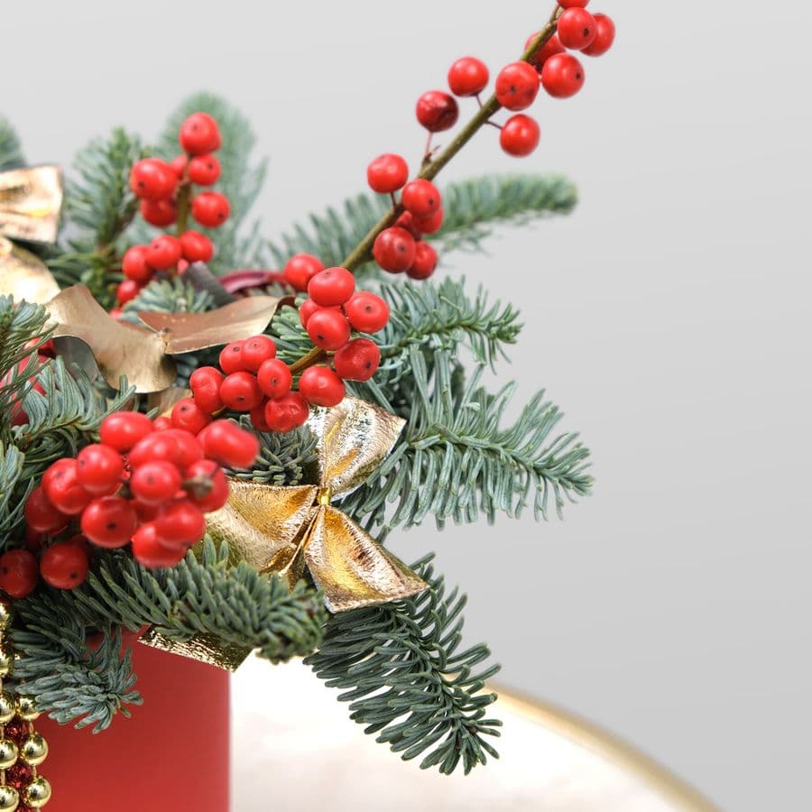 Композиция из Нобилиса, Илекса «Красная Зимушка»