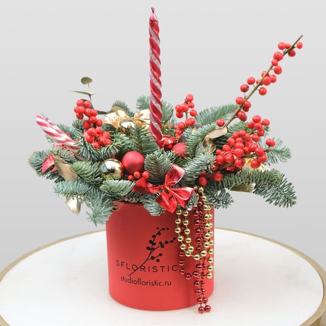 Композиция из Нобилиса, Илекса «Красная Зимушка» Композиция из Нобилиса, Илекса «Красная Зимушка»