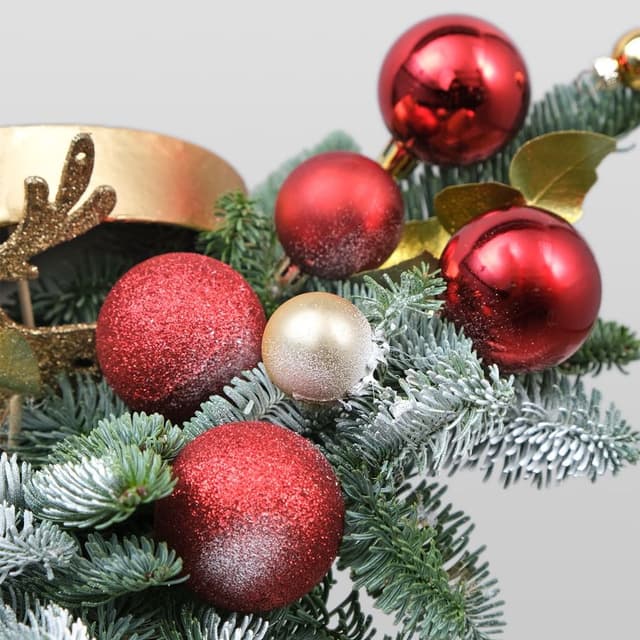 Композиция из Нобилиса «Золотой Олененок» Композиция из Нобилиса «Золотой Олененок»