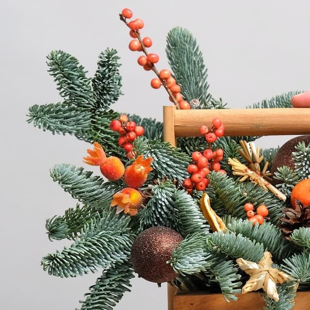 Композиция из Нобилиса «Оранжевое Веселье» Композиция из Нобилиса «Оранжевое Веселье»