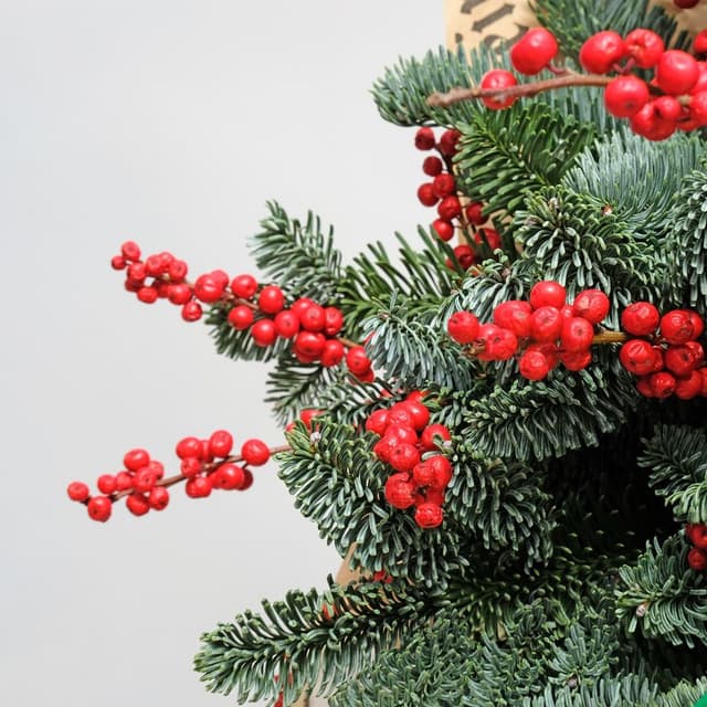 Букет из Нобилиса «Чудесный Лес» Букет из Нобилиса «Чудесный Лес»