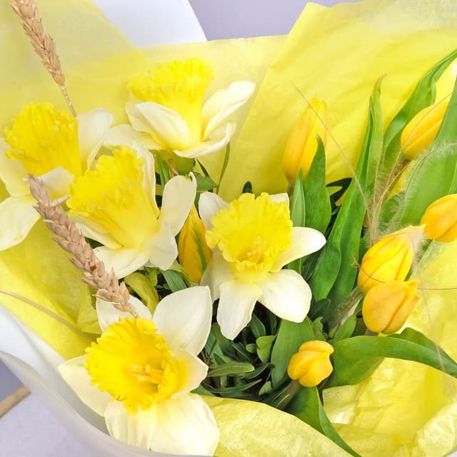 Букет из Тюльпана и Нарциссов «Солнечный рассвет» Букет из Тюльпана и Нарциссов «Солнечный рассвет»