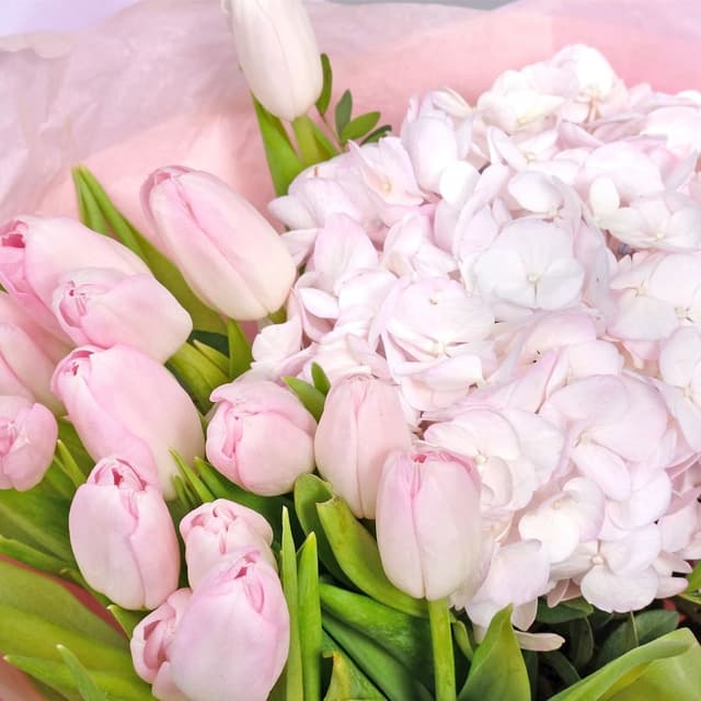 Букет из Тюльпанов и Гортензий «Нежное Облачко» Букет из Тюльпанов и Гортензий «Нежное Облачко»