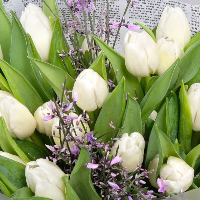 Букет из Тюльпанов и Генистры «Фелисити» Букет из Тюльпанов и Генистры «Фелисити»